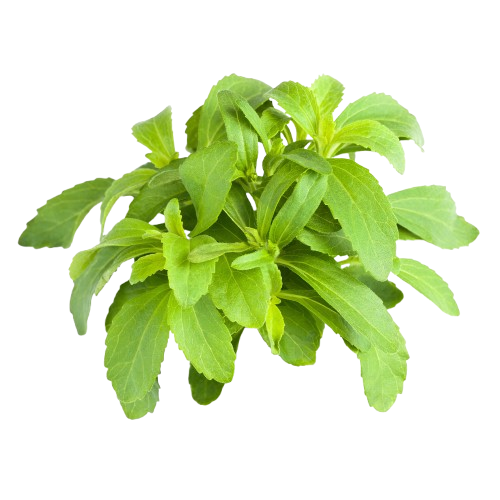 BERTONI STEVIA