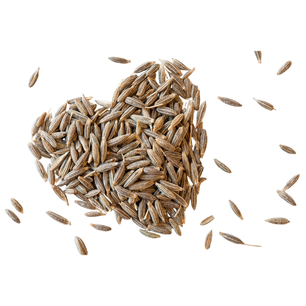 CUMIN SEEDS (JEERA)