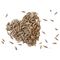 CUMIN SEEDS (JEERA)