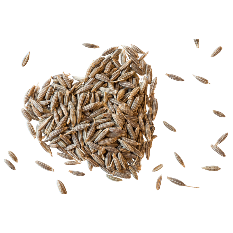 CUMIN SEEDS (JEERA)