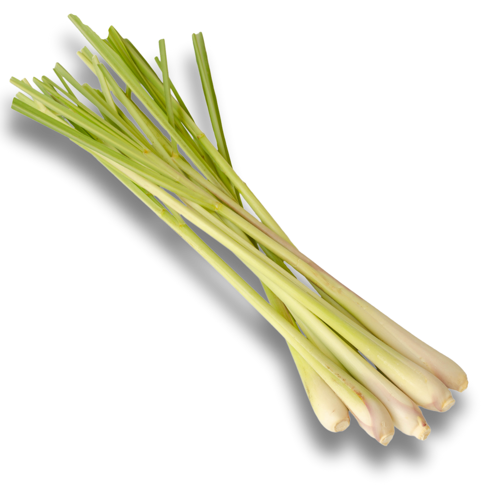 LEMON GRASS