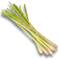 LEMON GRASS