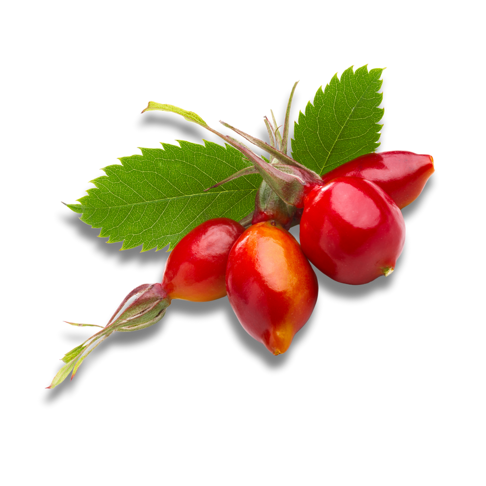 ROSEHIPS
