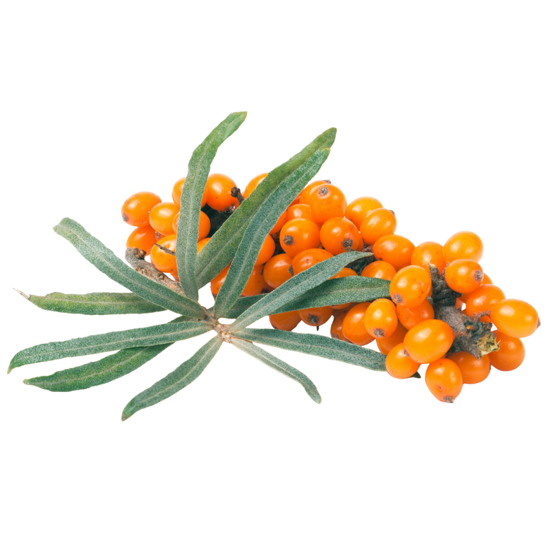 SEABUCKTHORN BERRIES